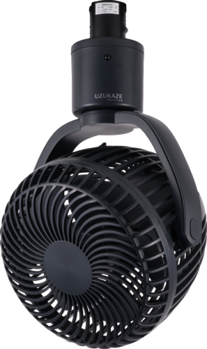 ブラッキーグレイ