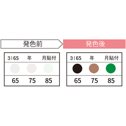 JAPPY サーモカラーセンサー 3温表示 年月記入タイプ 10℃間隔 3I65-JP (20枚入)