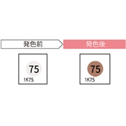 JAPPY サーモカラーセンサー 標準型1温表示タイプ 1K75-JP (20枚入)