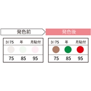 JAPPY サーモカラーセンサー 3温表示 年月記入タイプ 10℃間隔 3I75-JP (20枚入)