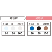 JAPPY サーモカラーセンサー 3温表示 年月記入タイプ 10℃間隔 3I80-JP (20枚入)